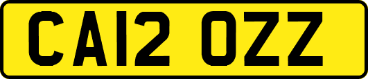 CA12OZZ