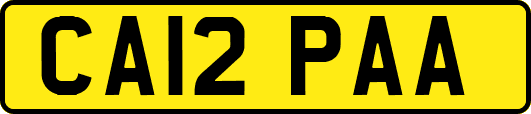 CA12PAA