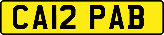 CA12PAB
