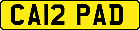 CA12PAD