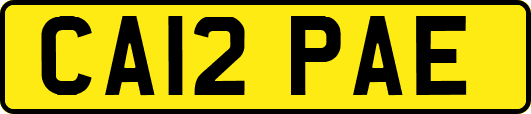 CA12PAE