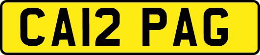 CA12PAG