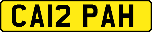 CA12PAH