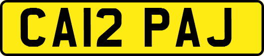 CA12PAJ