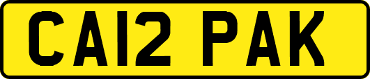 CA12PAK