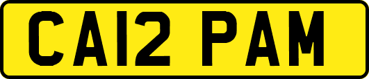 CA12PAM