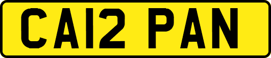 CA12PAN
