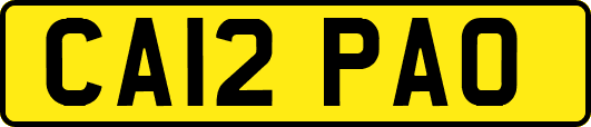 CA12PAO