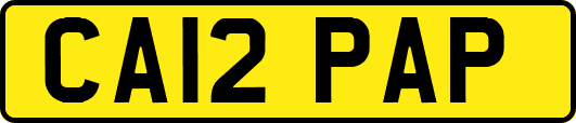 CA12PAP