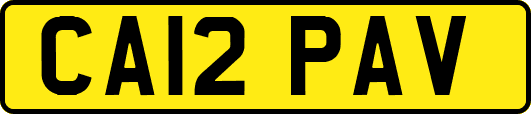CA12PAV