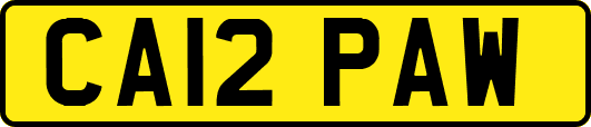 CA12PAW
