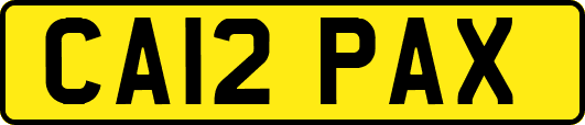 CA12PAX