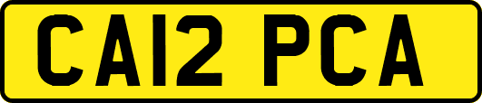 CA12PCA