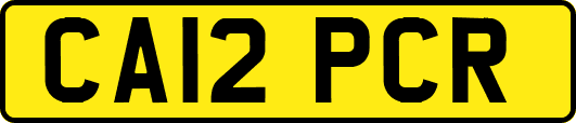 CA12PCR