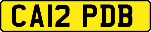 CA12PDB