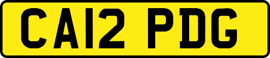 CA12PDG