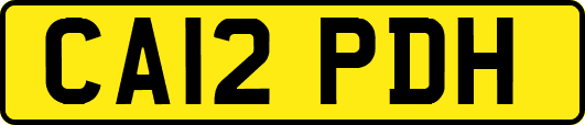 CA12PDH