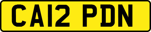 CA12PDN