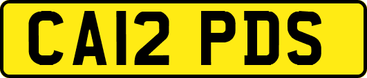 CA12PDS
