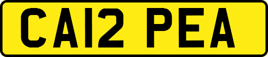 CA12PEA