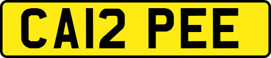 CA12PEE