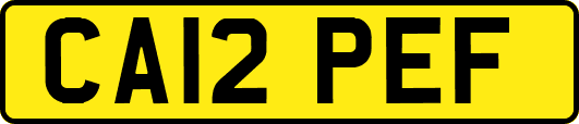 CA12PEF
