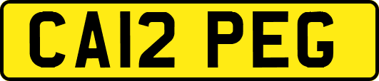 CA12PEG