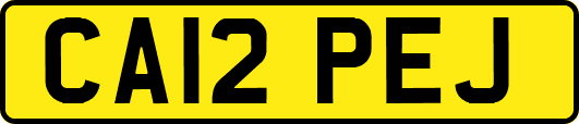 CA12PEJ