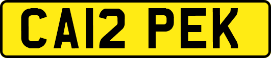 CA12PEK