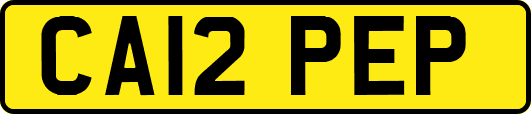CA12PEP