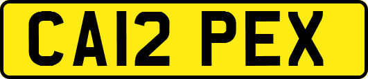 CA12PEX