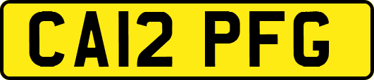CA12PFG