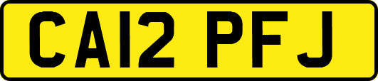 CA12PFJ