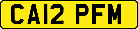 CA12PFM
