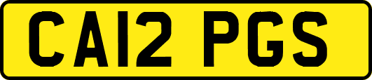 CA12PGS