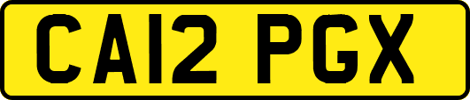 CA12PGX