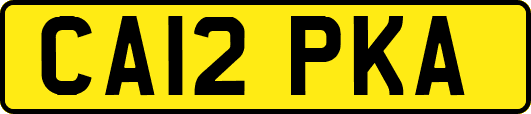 CA12PKA