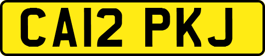 CA12PKJ