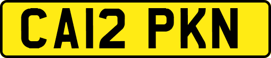 CA12PKN