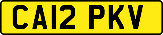CA12PKV