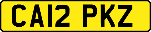 CA12PKZ