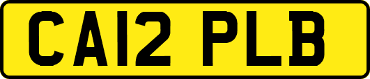 CA12PLB