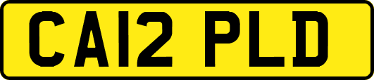 CA12PLD