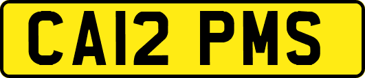 CA12PMS