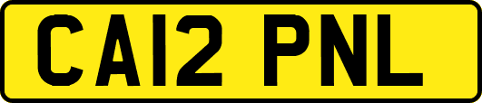 CA12PNL