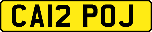 CA12POJ