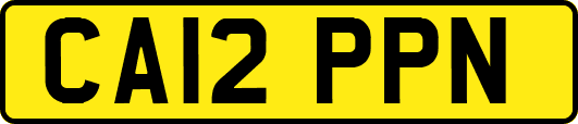 CA12PPN