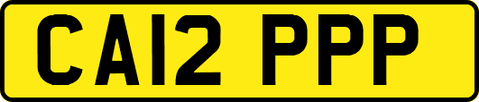 CA12PPP