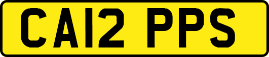 CA12PPS