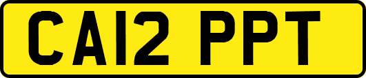 CA12PPT